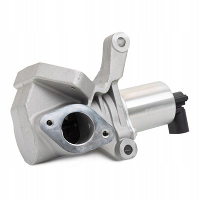 Купити Клапан egr ssangyong kyron suv rodiusridex 1145e020