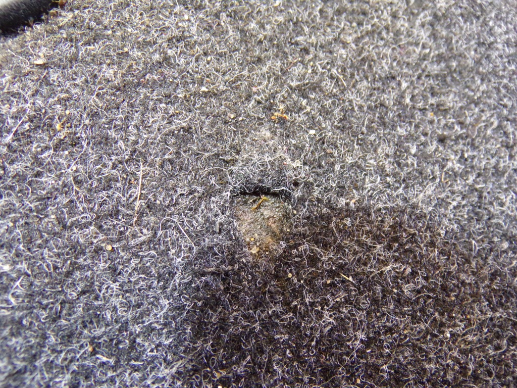 Пол багажника renault clio 3 iii kombi k2 Цена