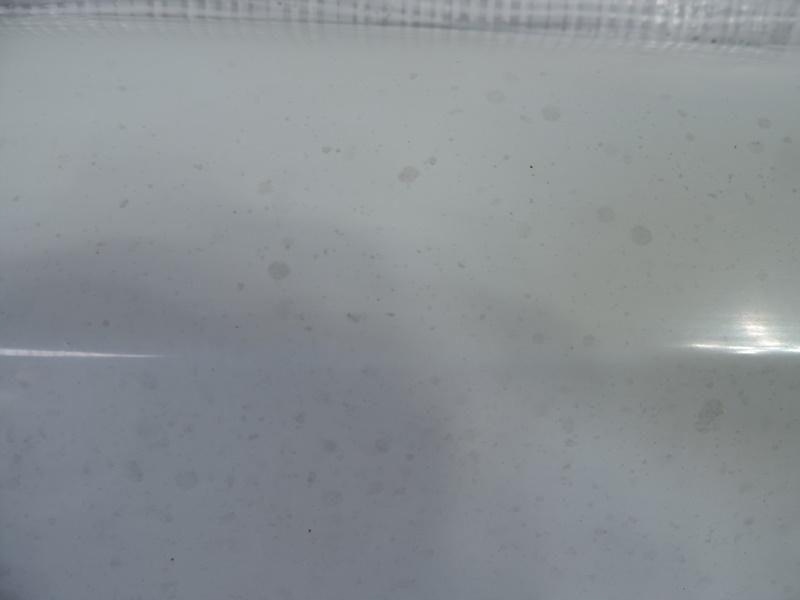 Купити Кришка багажника задній opel combo e life