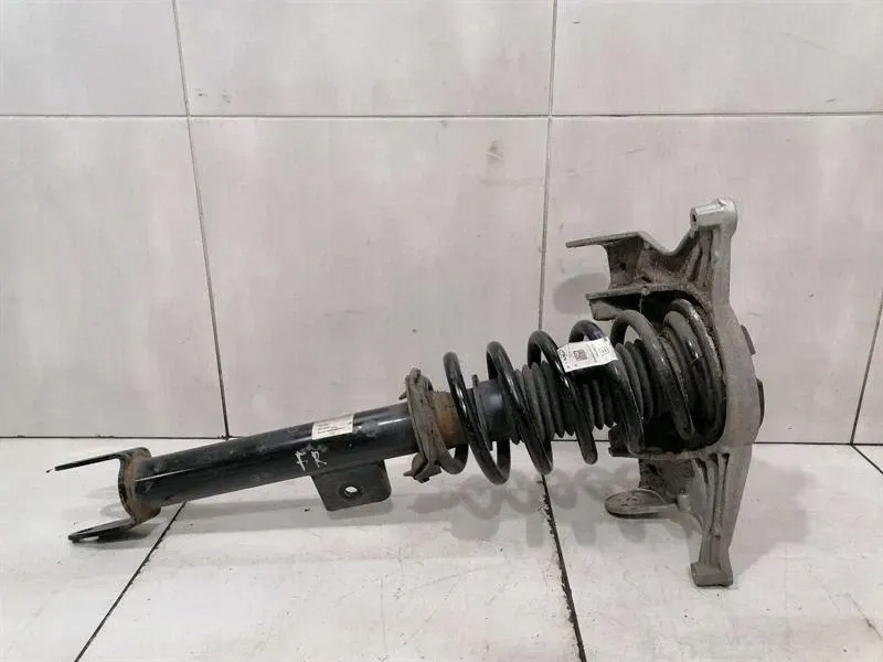 фото №9, Амортизатор передній tesla 1044369