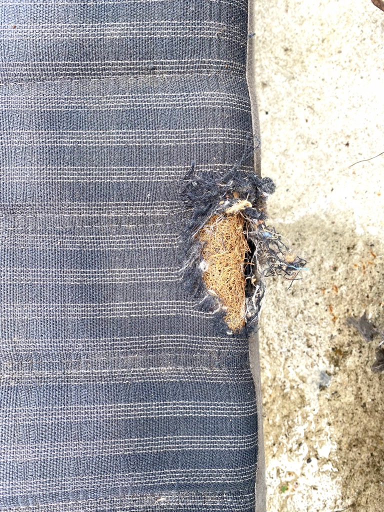 фото №4, Салон сидіння заднє сидіння спинка mercedes w116 se sel