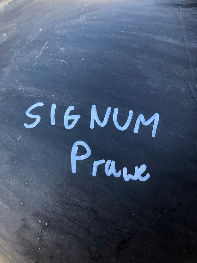 фото №5, Подкрылок правый перед opel signum 13162371