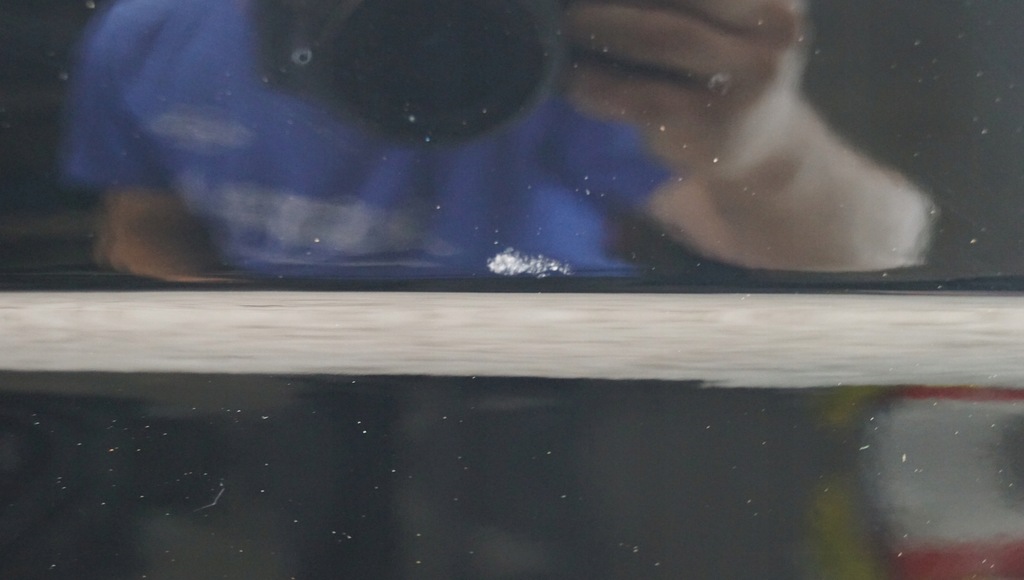 фото №11, Двері правий перед chevrolet captiva