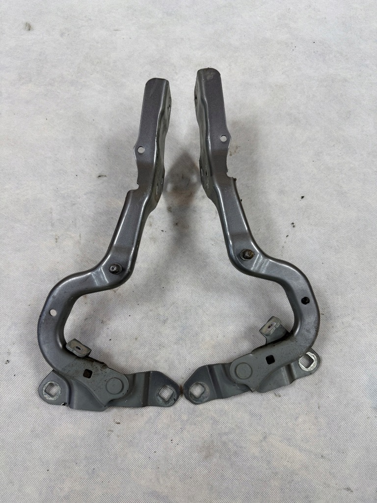 фото №1, Петлі петля правий лівий капот renault scenic iv tekng комплект