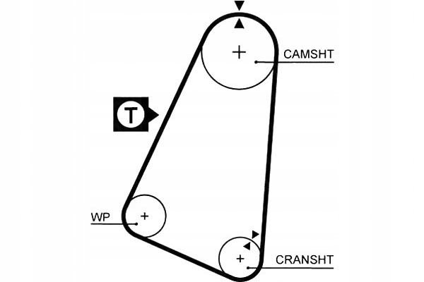 фото №7, Ремень распределительного вала gates 5030