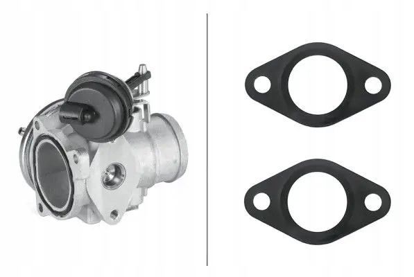Купити Клапан egr agr 6nu 010 171-311 hella audi seat