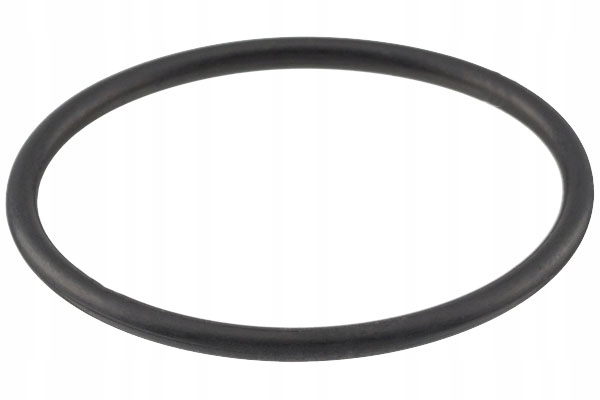 Уплотнительное кольцо термостата 50x4mm 101 117/top Цена