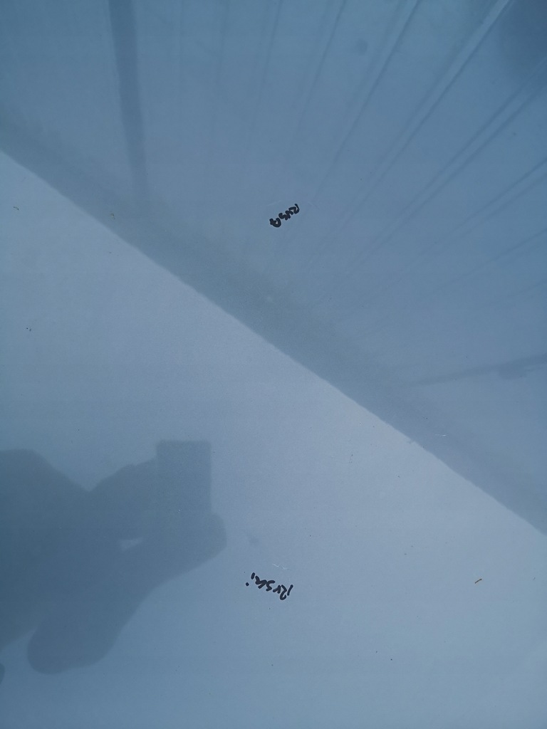 фото №9, Капот кришка двигуна ford s-max i mk1 06-10