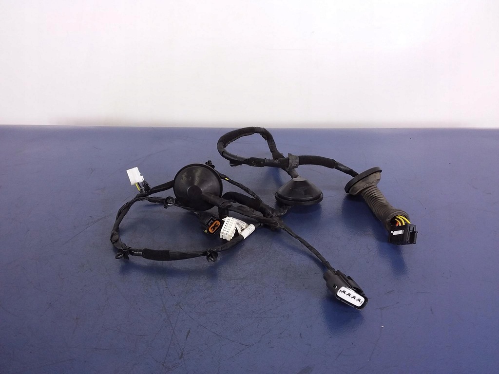 фото №1, Kia sportage iv джгут двері задня ліва 91650-f1010