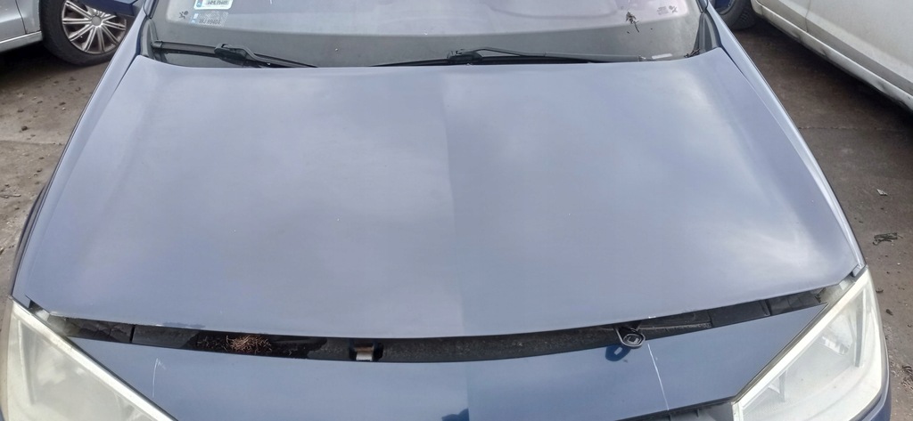 фото №1, Renault megane ii капот перед передня dv460