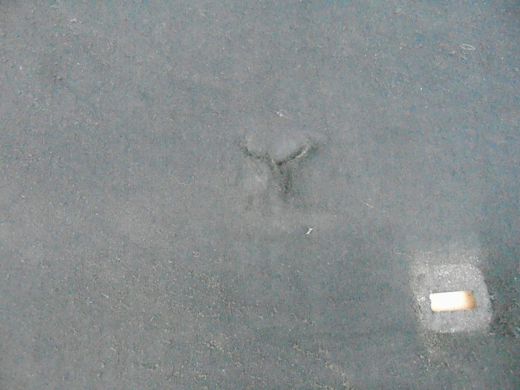 фото №4, Подкрылок шумоизоляция капот mondeo mk4 lift