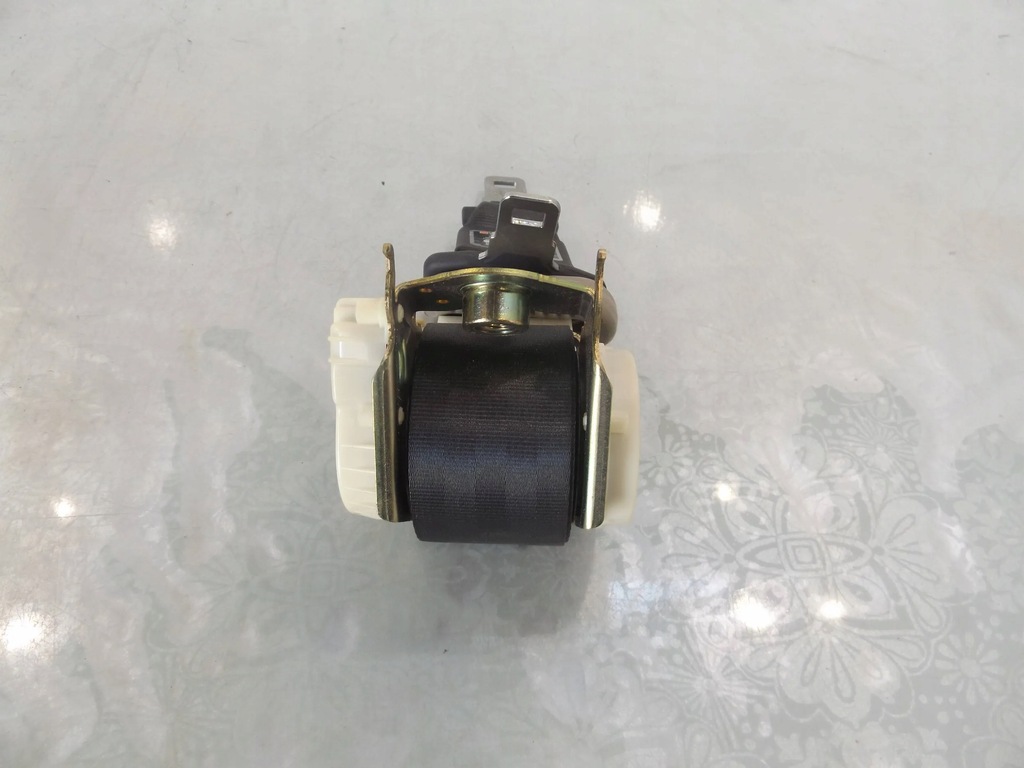 фото №3, Modus pas задня середній