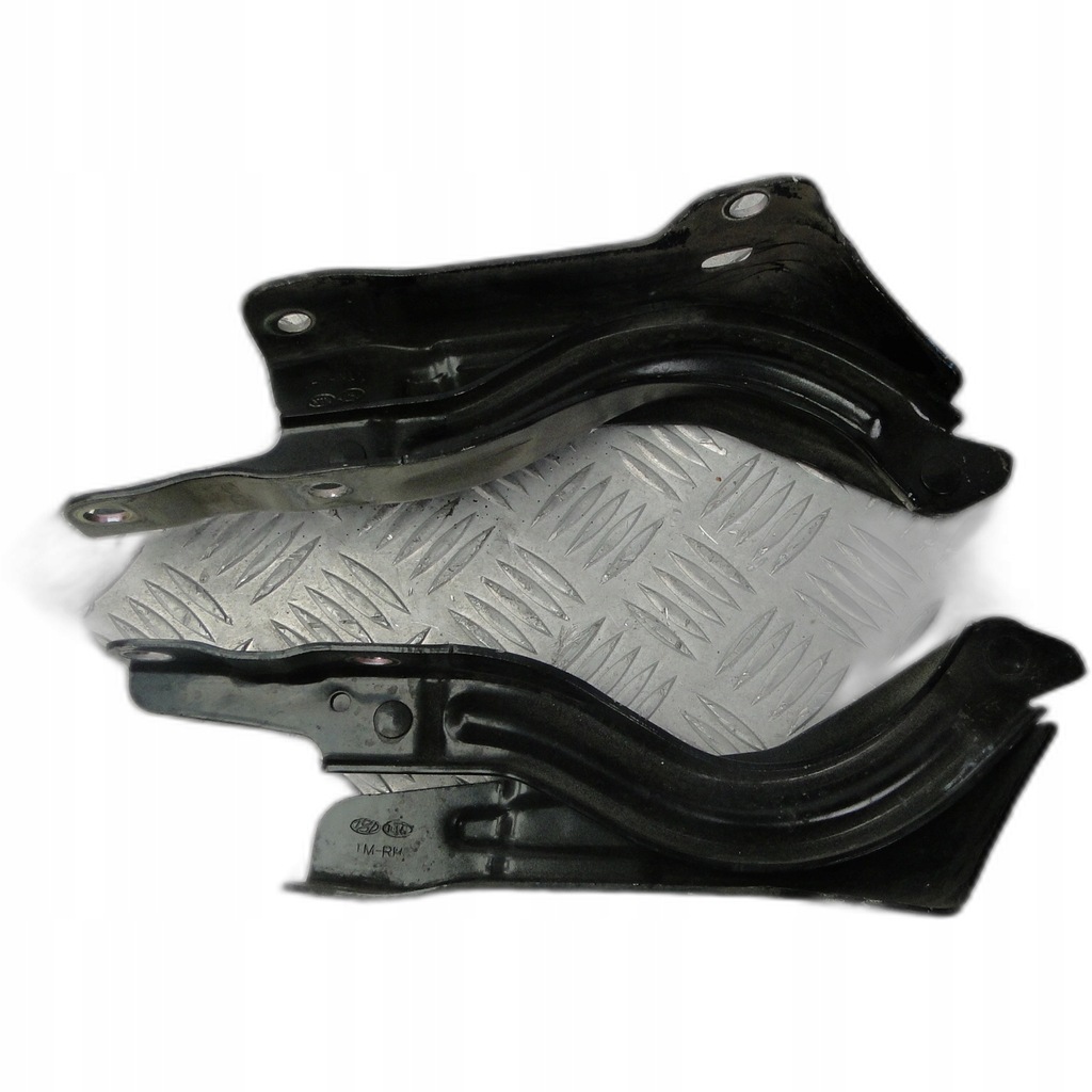 фото №1, Hyundai santa fe iv v петля петли капот 2021r