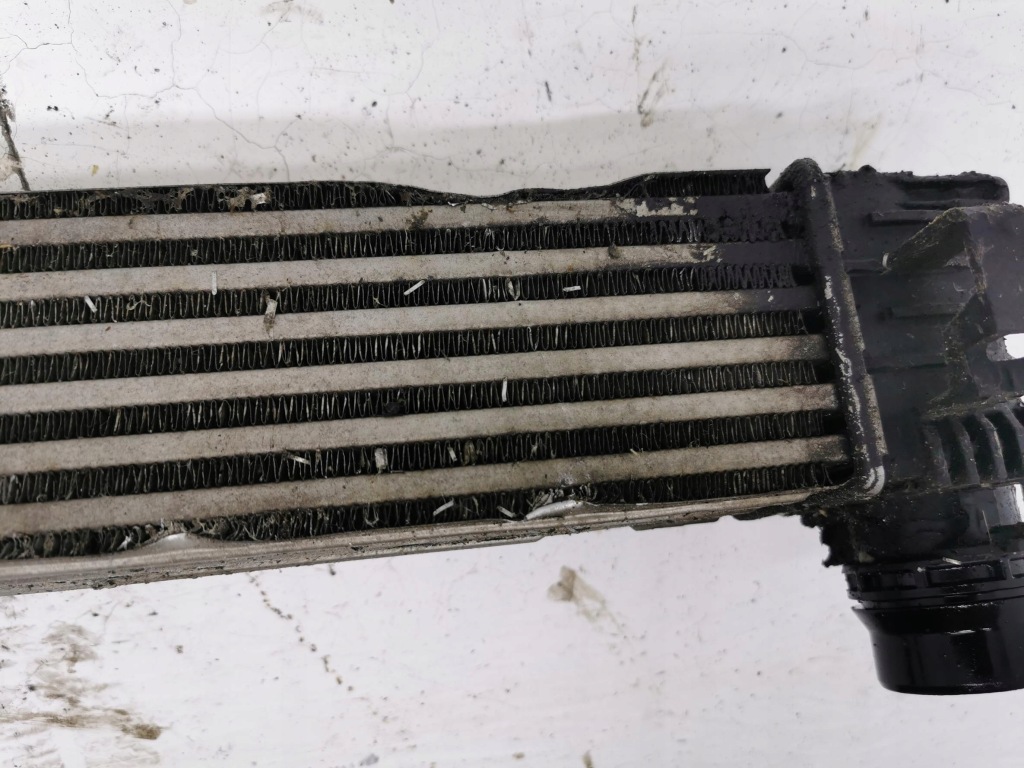 Купить Интеркулер renault scenic 3 1.2 tce 144963639r