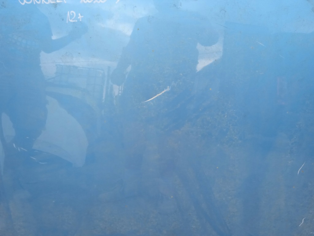 фото №3, Ford transit connect mk3 капот