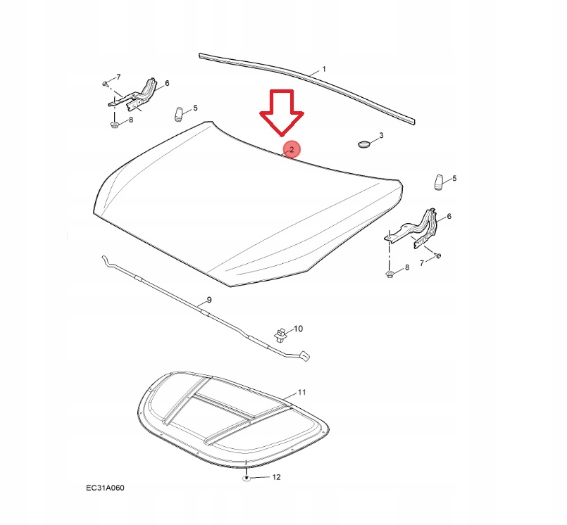 фото №1, Капот zs ii 2024
