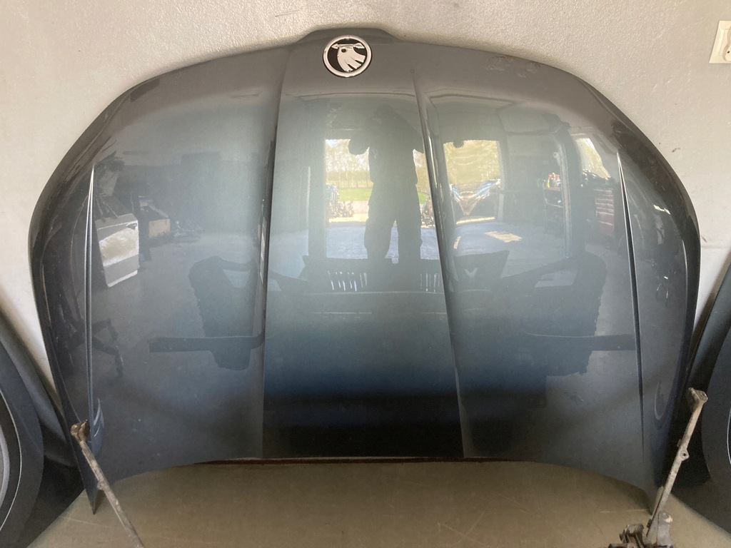 фото №10, Перед бампер капот лампы крылья pas skoda kodiaq lf7y