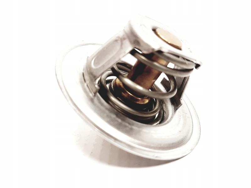 фото №14, Термостат wahler 105000106400 105000106401 3156283