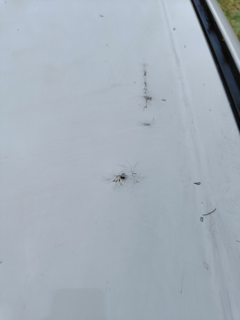 фото №4, Range rover velar крыша