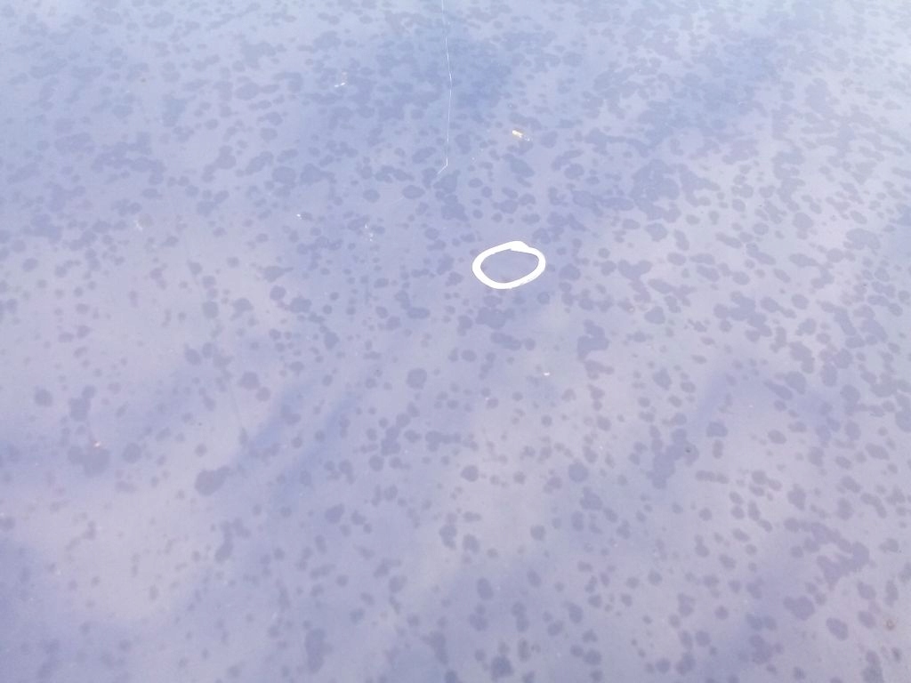 фото №6, Toyota corolla e12 kombi капот крышка двигателя