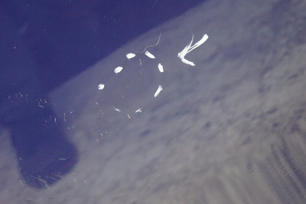 фото №13, Дверь левый перед bmw 1 e87 381/5