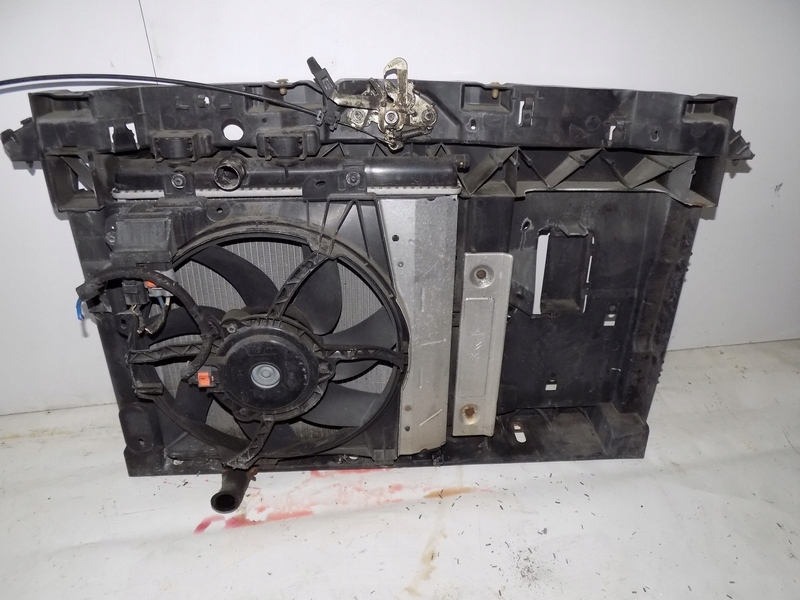 фото №6, Peugeot 207 hb pas передний радиатор