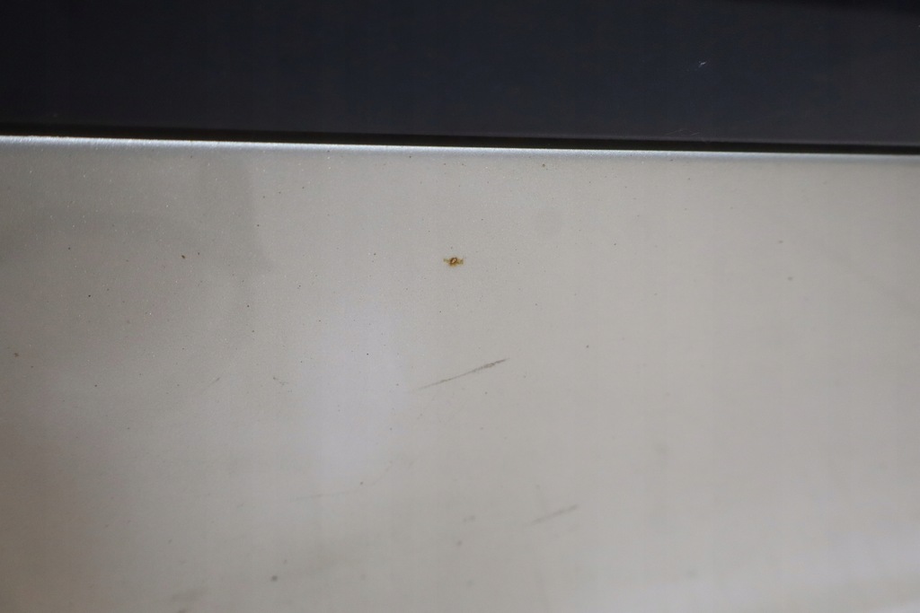 фото №4, Дверь левый перед renault clio iii ted11