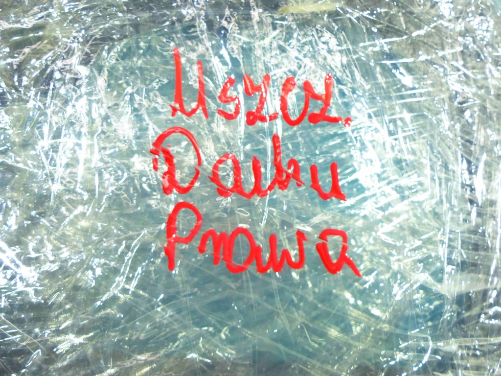 фото №7, Прокладка дах права dacia duster i 11r