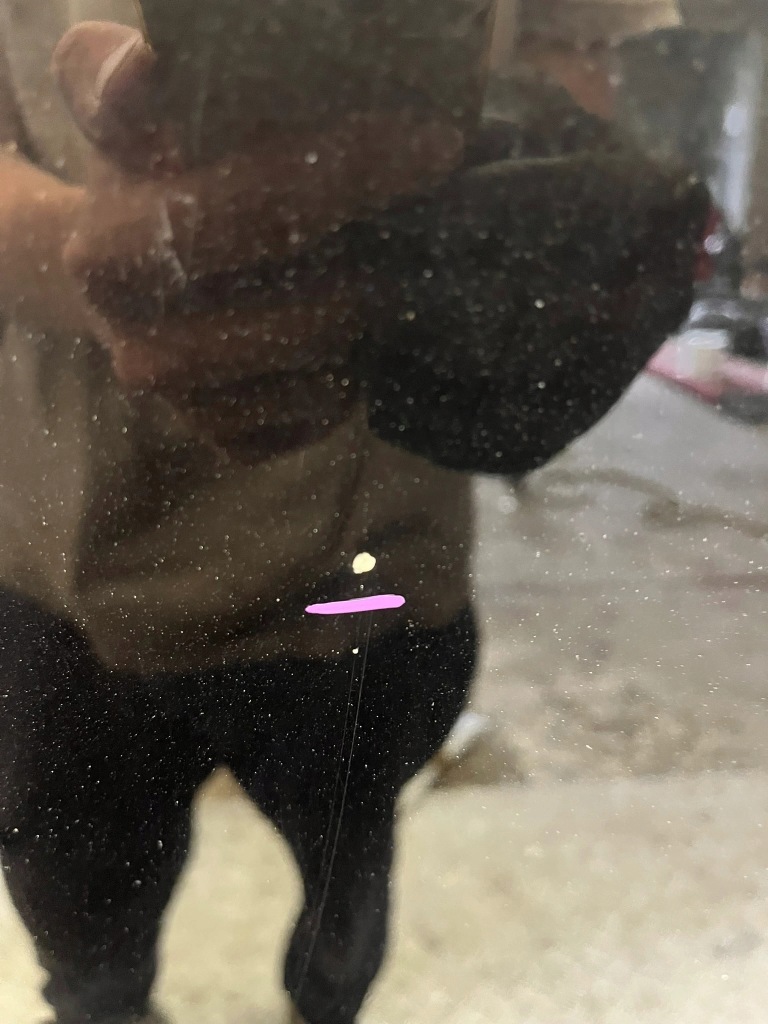 Капот крышка двигателя mercedes e-klasa w212 fl lift Доставка