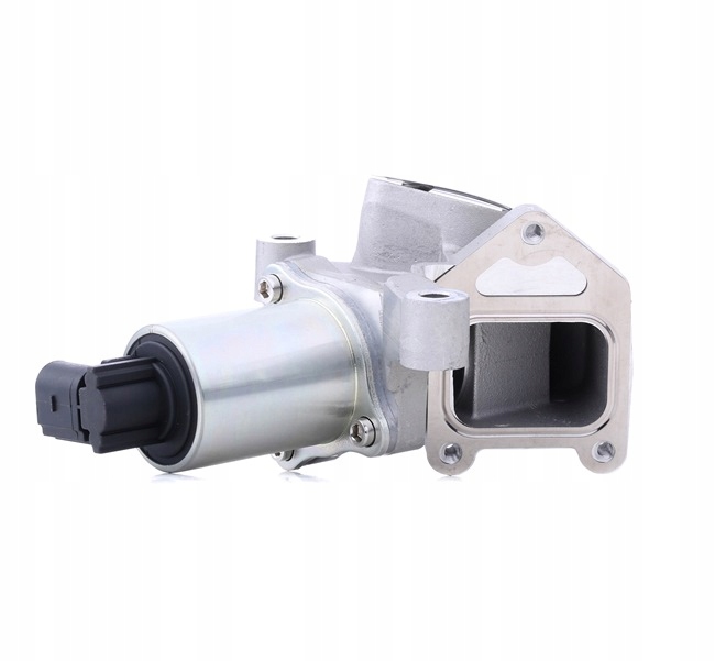 Купити Клапан egr ssangyong kyron suv rodiusridex 1145e020