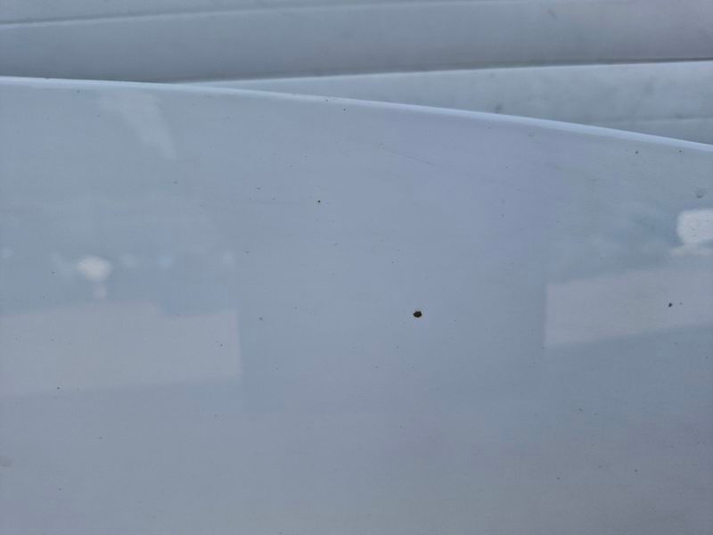 фото №6, Kia carens 4 iv капот крышка двигателя перед передняя 1d