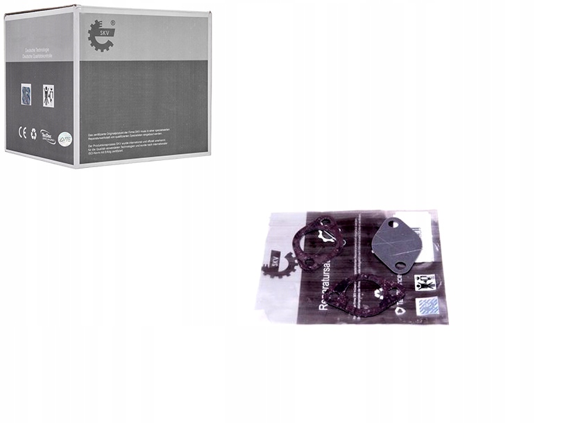 фото №1, Набір ремонтний клапана egr renault двигуни 1.9dci esen skv