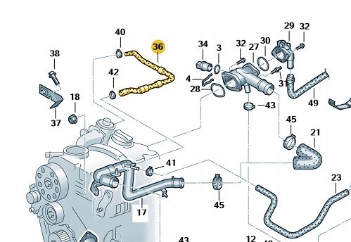 Купить Volkswagen оригинальный номер 038121473b шланг радиатора воды