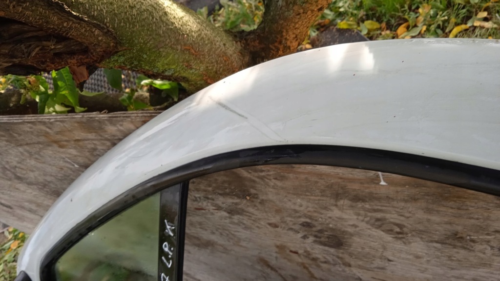 фото №11, Opel vivaro i fl дверь перед левый белый