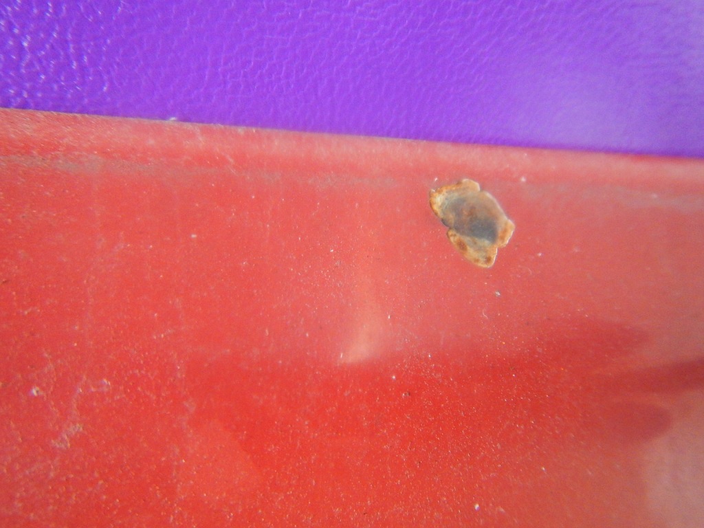 Volvo 440/460 88-96 капот крышка двигателя в Украине