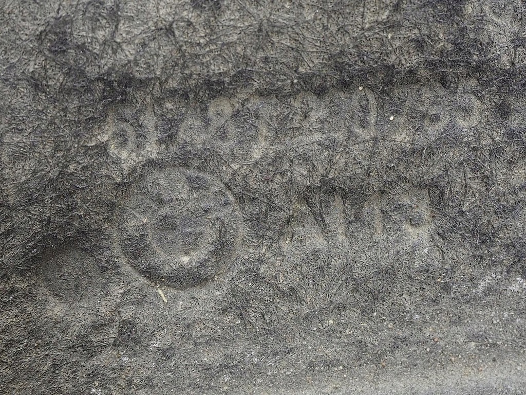 фото №10, Подкрылок левая задние bmw 2 f45 f46 7290795