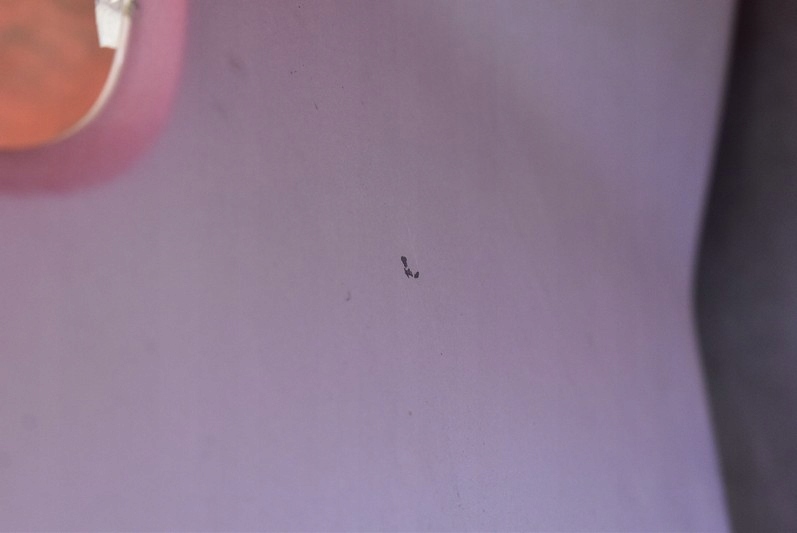 фото №7, Бампер задняя задний z2s suzuki grand vitara 2 ii 5d 05-08