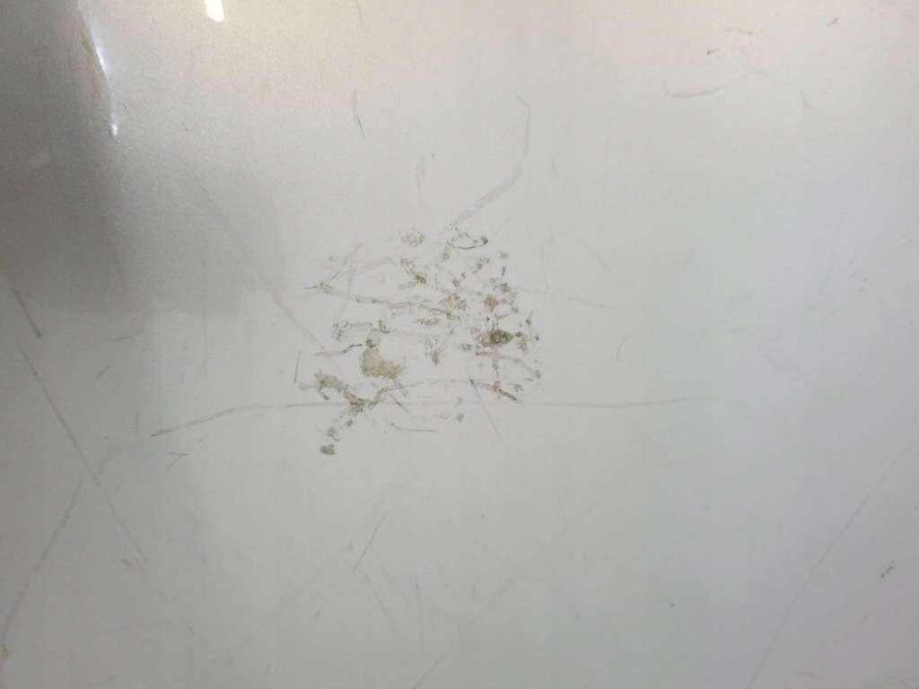 фото №13, Бампер задний ford b-max 2014