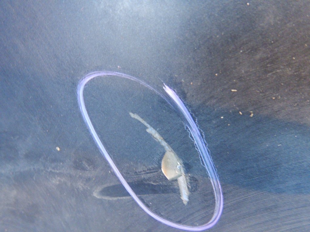 фото №4, Isuzu trooper i 83- капот кришка двигуна