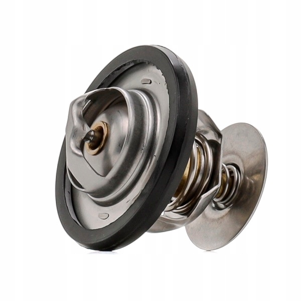 фото №1, Термостат ridex 316t0113