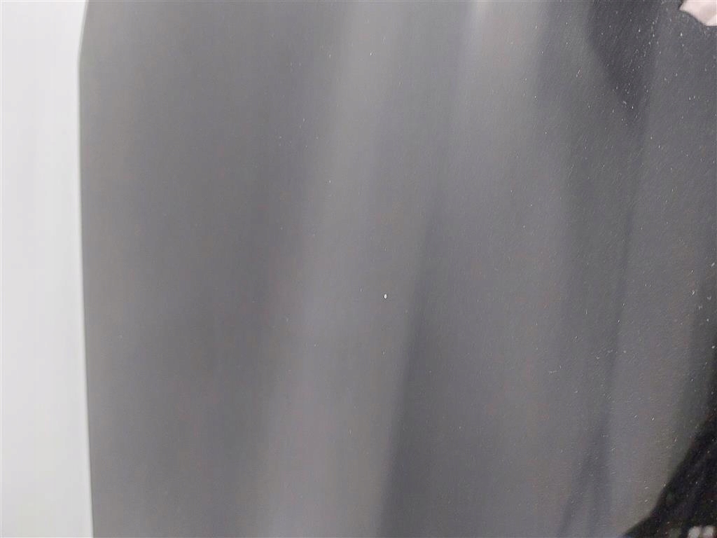 фото №3, Капот ford explorer vi agate black металлик 2019-2022 r