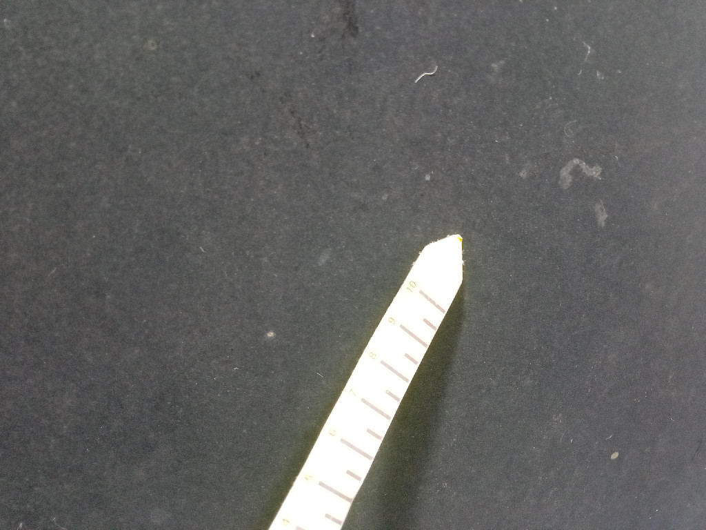 фото №6, Renault kangoo ii 07-21 люк крыша откидной 2216483 2216484