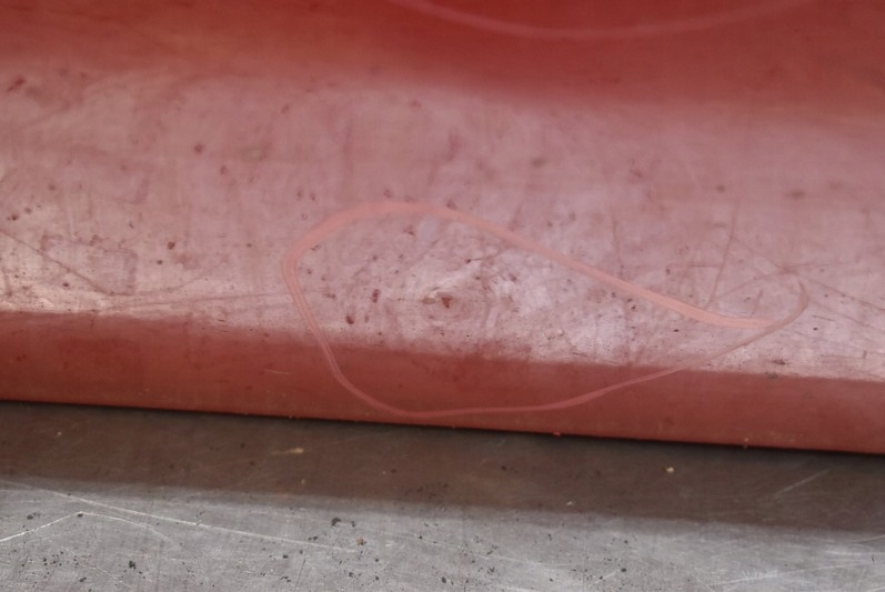 фото №7, Дверь правое перед передние красные renault thalia 2 ii 08-12