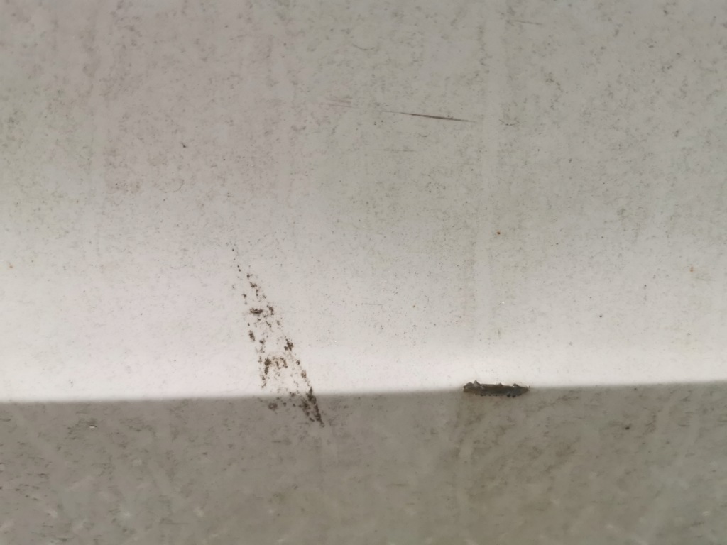 фото №7, Двері правий задня vw passat b7 sedan lb9a