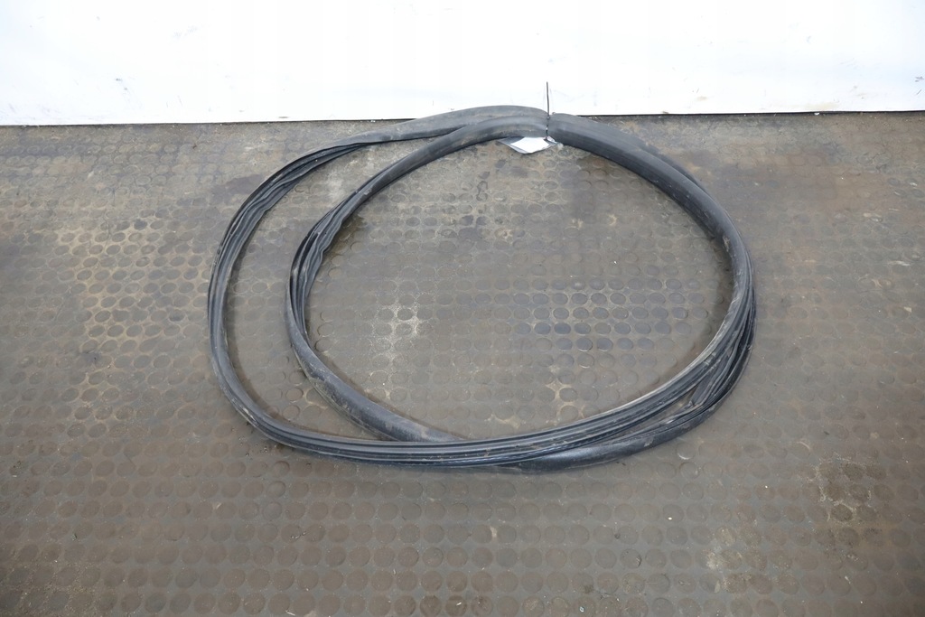 фото №3, Прокладка двері ліва передня renault t 460 e6