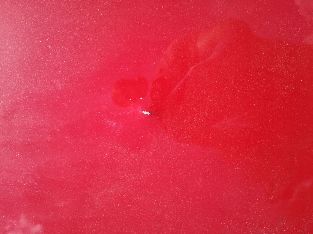 фото №5, Alfa romeo giulia дах обшивка