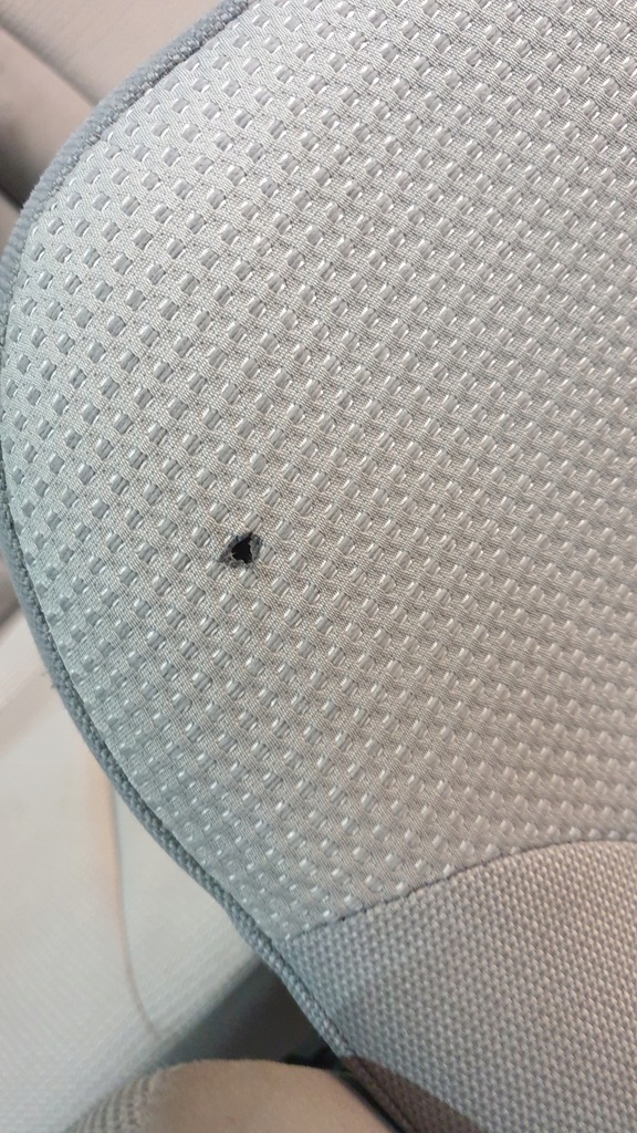 фото №9, Сидіння лівий перед водія kia carnival ii 2010r