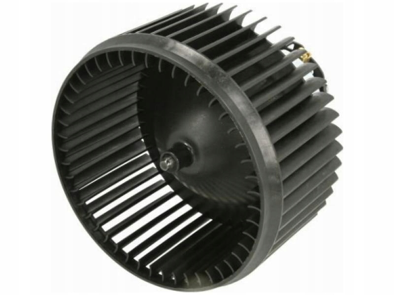 фото №1, Повітродувка вентилятор салону thermotec ddp012tt