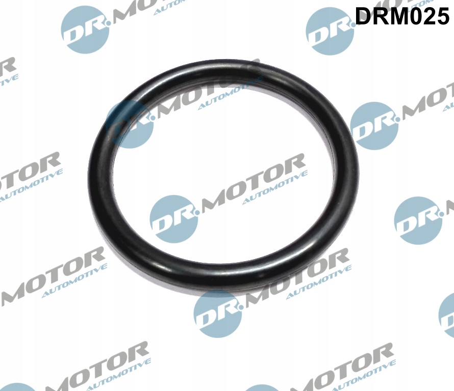 фото №2, Dr.motor drm025 прокладка, патрубок дросель