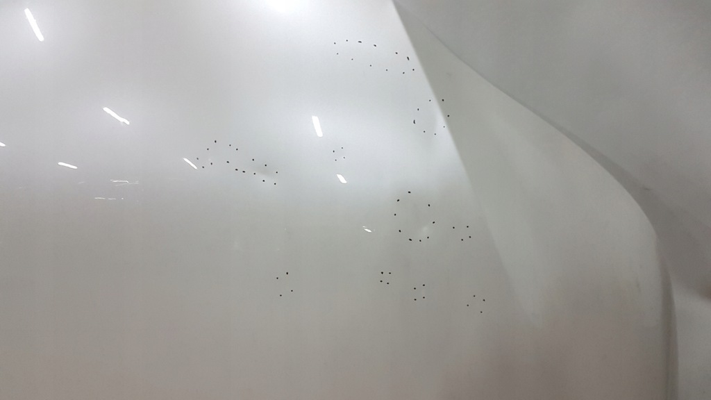 фото №6, Капот lexus nx 14-